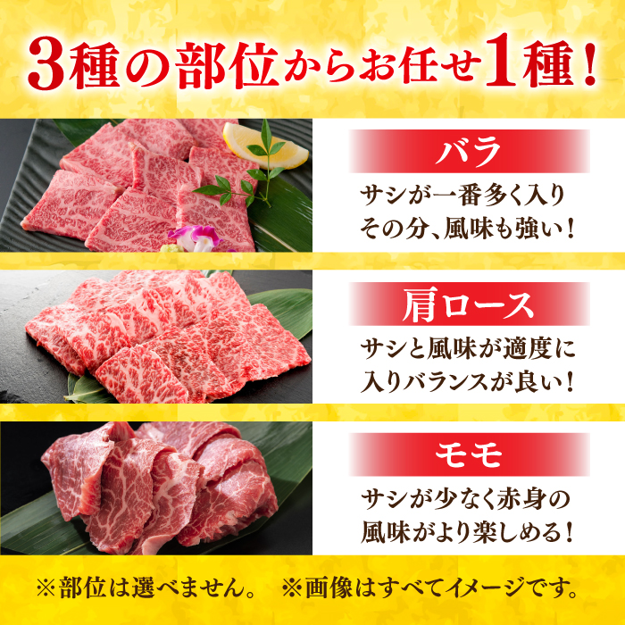 艶さし！ 佐賀牛 焼肉用 1kg  （500g×2P） ※バラ・肩ロース・モモのいずれかの部位※ 吉野ヶ里町 [FDB021]