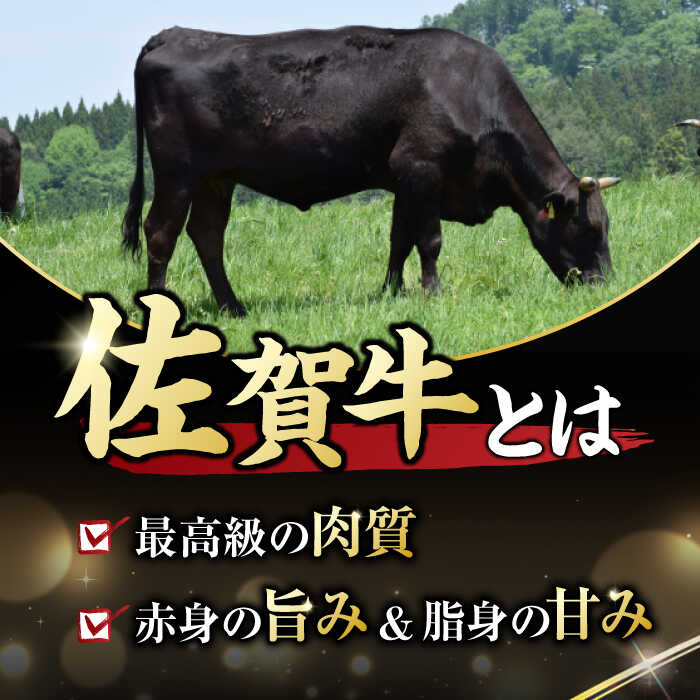 艶さし！ 佐賀牛 ヒレステーキ＆サーロインステーキ 食べ比べ セット 計400g  （ヒレ150g×1枚・サーロイン250g×1枚） 吉野ヶ里町 [FDB022]