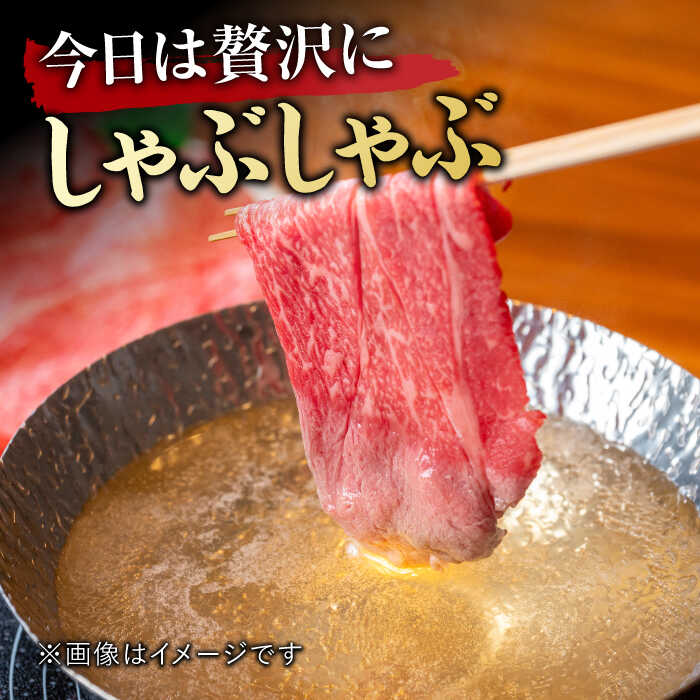 【3回定期便】 艶さし！ 佐賀牛 ローススライス 1.5kg （500g×3回） 吉野ヶ里町 [FDB030]