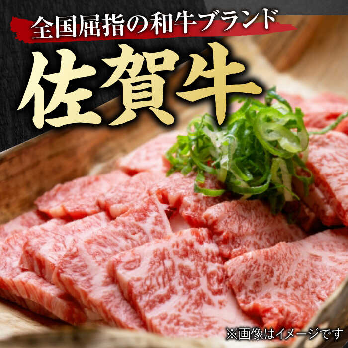 【6回定期便】 艶さし！ 佐賀牛 焼肉用 計3kg （500g×6回）  ※バラ・肩ロース・モモのいずれかの部位※ 吉野ヶ里町 [FDB034]