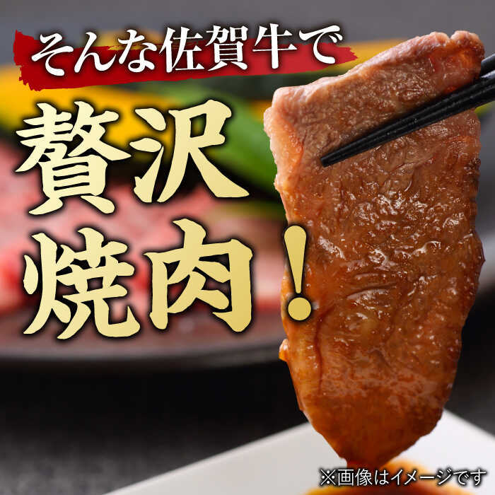 【6回定期便】 艶さし！ 佐賀牛 焼肉用 計3kg （500g×6回）  ※バラ・肩ロース・モモのいずれかの部位※ 吉野ヶ里町 [FDB034]