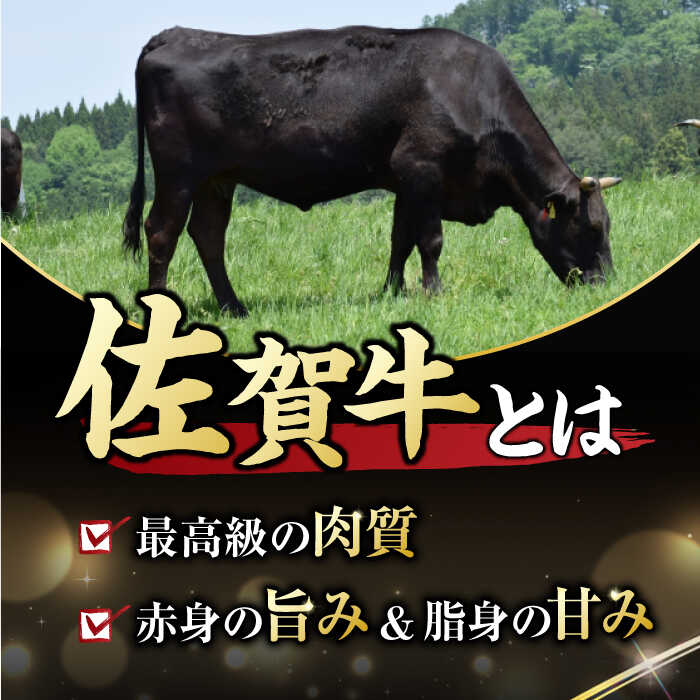 【6回定期便】 艶さし！ 佐賀牛 焼肉用 計3kg （500g×6回）  ※バラ・肩ロース・モモのいずれかの部位※ 吉野ヶ里町 [FDB034]