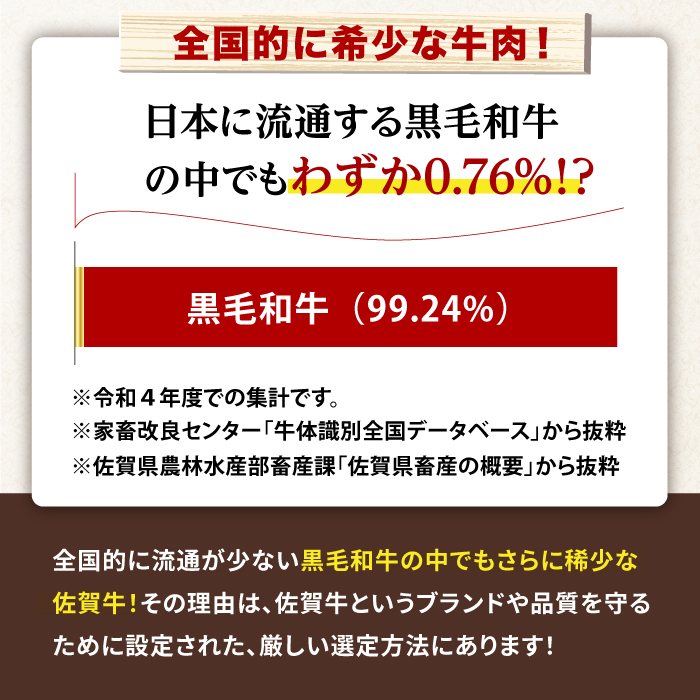 【不揃い訳あり・部位おまかせ】佐賀牛 しゃぶしゃぶ・すき焼きセット 750g（切り落とし500g・スライス250g） 吉野ヶ里町 [FDB003]