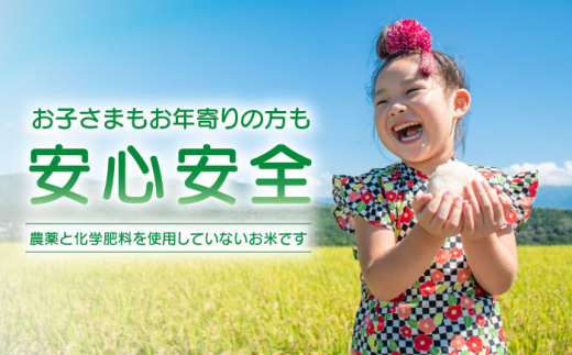 佐賀県産 特別栽培米Aランク　さがびより<玄米>5kg 吉野ヶ里町/種まきの会[FBO017]