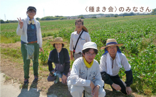 佐賀県産 特別栽培米Aランク　さがびより<玄米>5kg 吉野ヶ里町/種まきの会[FBO017]