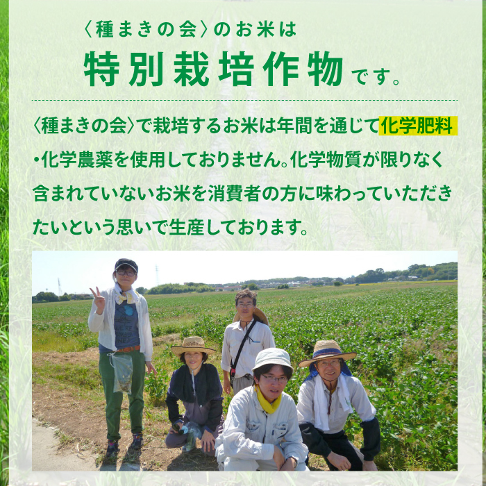 佐賀県産 特別栽培米Aランク　さがびより<白米>5kg 吉野ヶ里町/種まきの会 [FBO016]