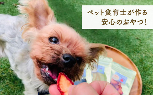 【6袋×6回定期便】犬の無添加おやつ☆お砂糖不使用 旬のドライフルーツ定期便（ペットフード） [FCG009]