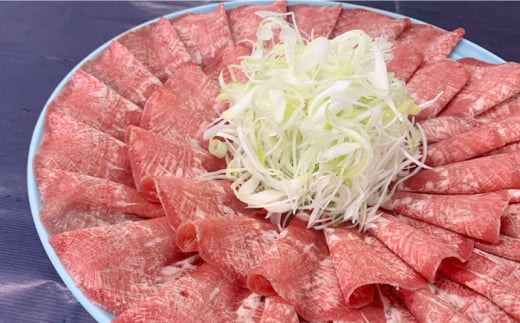 【全12回定期便】佐賀県産和牛 牛タンしゃぶしゃぶセット 500g 計6kg 吉野ヶ里町/やきとり紋次郎 [FCJ061]