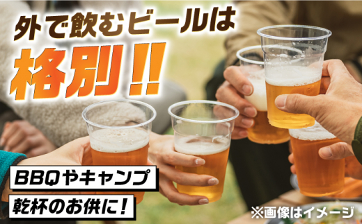 【全3回定期便】吉野ヶ里町産クラフトビール GAME BREW CONTINUE?/コンティニュー 350ml×6本セット 計18本 吉野ヶ里町/西研グラフィックス [FDG002]