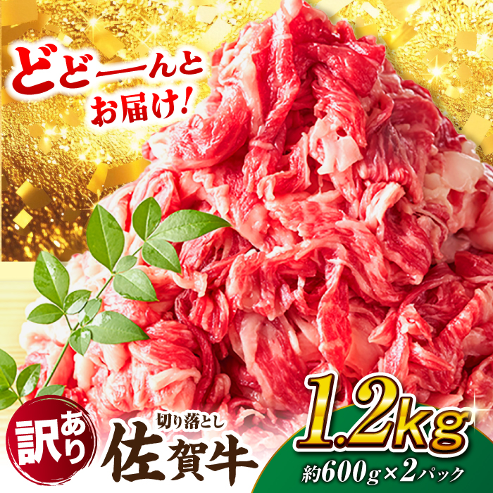 【不揃い訳あり・部位おまかせ】佐賀牛 切り落とし 肩orバラ 600g×2 計1.2kg 吉野ヶ里町 [FDB001]