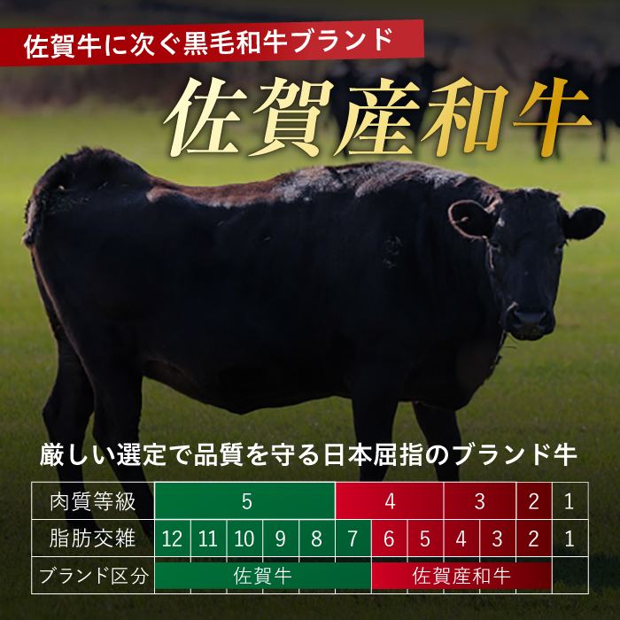 【不揃い訳あり・部位おまかせ】佐賀産和牛 切り落とし 肩orバラ 600g×2 計1.2kg 吉野ヶ里町 [FDB001]