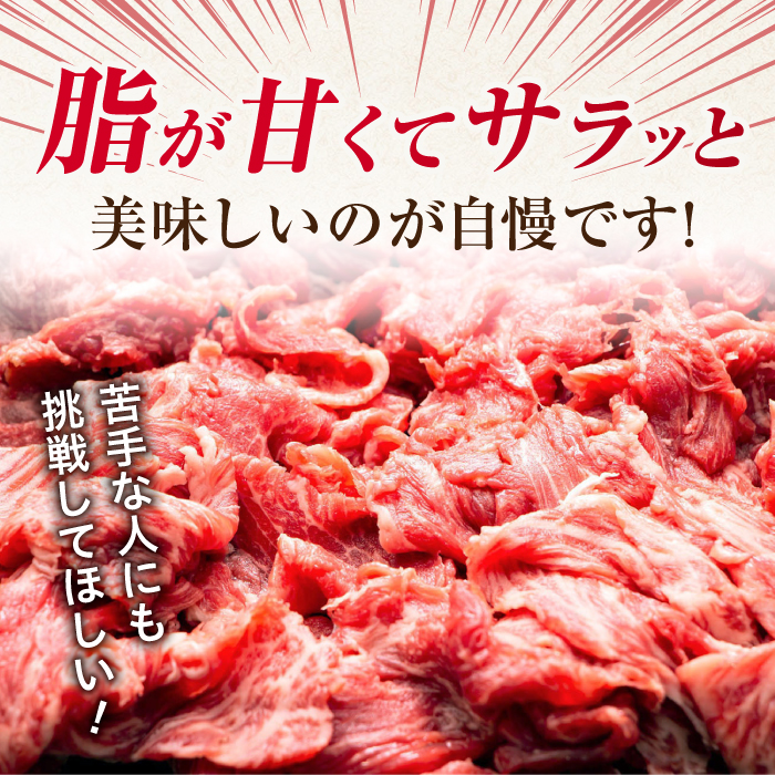 【全6回定期便】【不揃い訳あり・部位おまかせ】佐賀牛 切り落とし 肩orバラ 計3.6kg （600g×6回） 吉野ヶ里町 [FDB028]