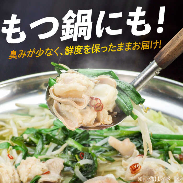 【脂が甘くてぷりっぷり！】佐賀牛ホルモン 焼肉用 小腸 500g（250g×2）味付けなし 吉野ヶ里町/やきとり紋次郎 [FCJ089]