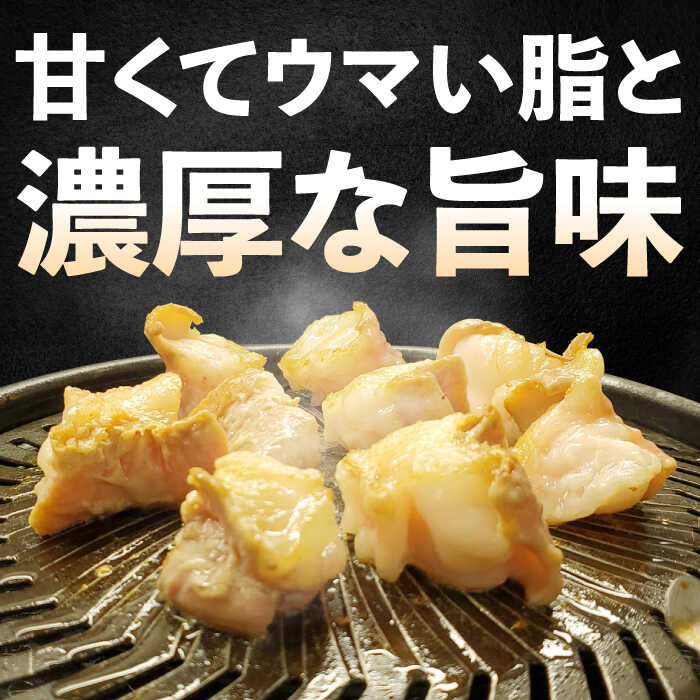 【全3回定期便】 【脂が甘くてぷりっぷり！】佐賀牛ホルモン 焼肉用 小腸 計1.5kg（250g/袋）味付けなし 吉野ヶ里町/やきとり紋次郎 [FCJ091]