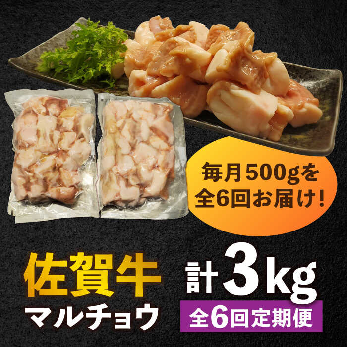 【全6回定期便】 【脂が甘くてぷりっぷり！】佐賀牛ホルモン 焼肉用 小腸 計3kg（250g/袋）味付けなし 吉野ヶ里町/やきとり紋次郎 [FCJ092]