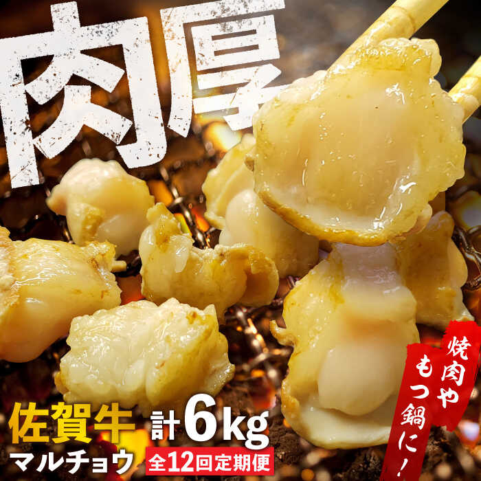 【全12回定期便】 【脂が甘くてぷりっぷり！】佐賀牛ホルモン 焼肉用 小腸 計6kg（250g/袋）味付けなし 吉野ヶ里町/やきとり紋次郎 [FCJ093]