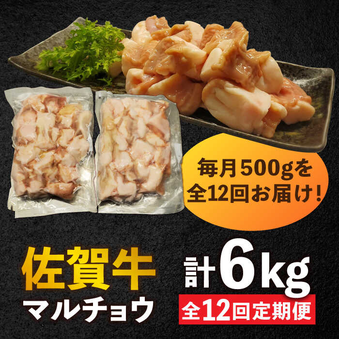 【全12回定期便】 【脂が甘くてぷりっぷり！】佐賀牛ホルモン 焼肉用 小腸 計6kg（250g/袋）味付けなし 吉野ヶ里町/やきとり紋次郎 [FCJ093]