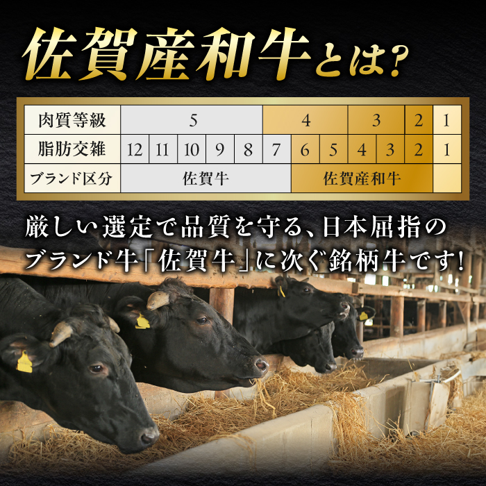 佐賀県産和牛 牛タンしゃぶしゃぶセット 500g 吉野ヶ里町/やきとり紋次郎 [FCJ058]