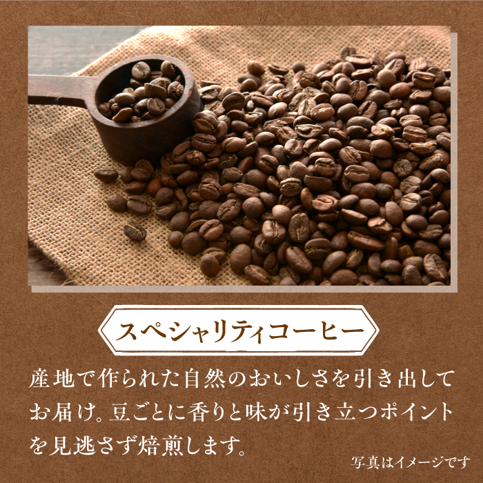 【3回定期便・豆タイプ】ジャコウネコ・LAJA・スペシャリティコーヒーセット3種合計400g×3回 計1.2kg [FBR022]