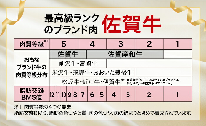 【全12回定期便・今大人気】受賞歴多数！老舗精肉店の佐賀牛ヒレステーキ180g×10枚 [FBX035]