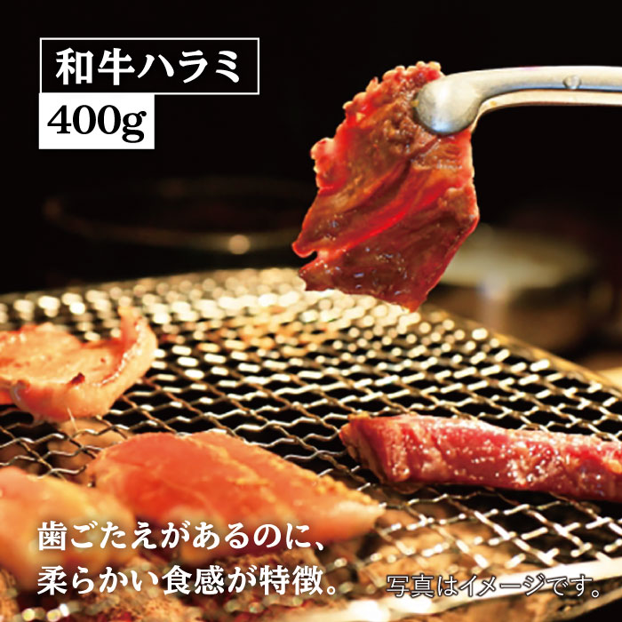 【大容量・味付き】ホルモン専門店の豪華！焼き肉4種セット計1kg（和牛ハラミ 400g / 豚ハラミ・丸腸・シマ腸 各200g）【三田川ホルモン専門店】吉野ヶ里町 [FAC011]