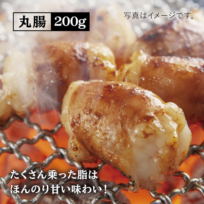 【大容量・味付き】ホルモン専門店の豪華！焼き肉4種セット計1kg（和牛ハラミ 400g / 豚ハラミ・丸腸・シマ腸 各200g）【三田川ホルモン専門店】吉野ヶ里町 [FAC011]