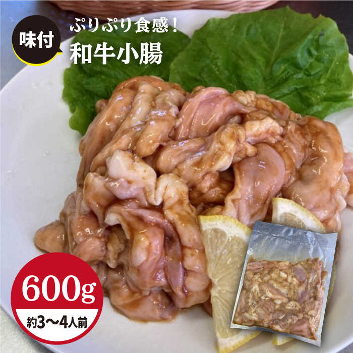 【食べやすい味付け】ホルモン専門店の和牛小腸 600g（約3～4人前）【三田川ホルモン専門店】吉野ヶ里町 [FAC007]