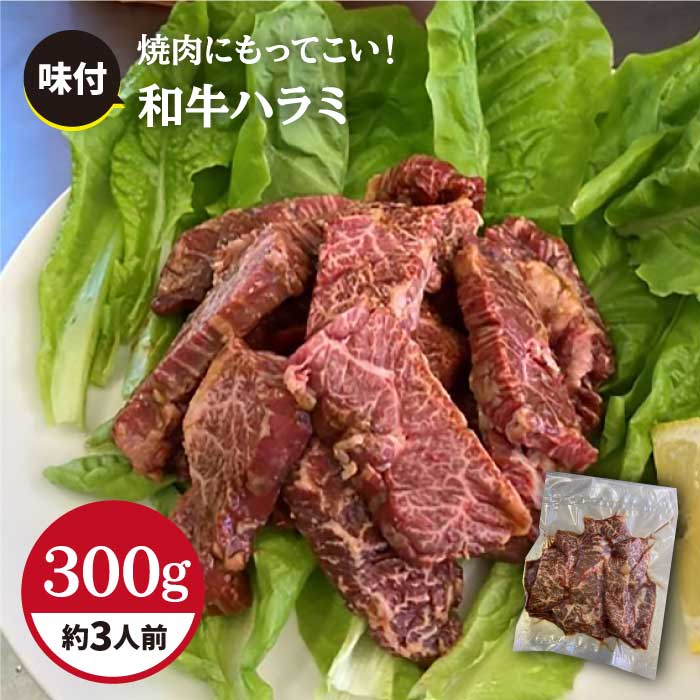 【食べやすい味付け】ホルモン専門店の和牛ハラミ300g （約3人前）【三田川ホルモン専門店】吉野ヶ里町 [FAC003]