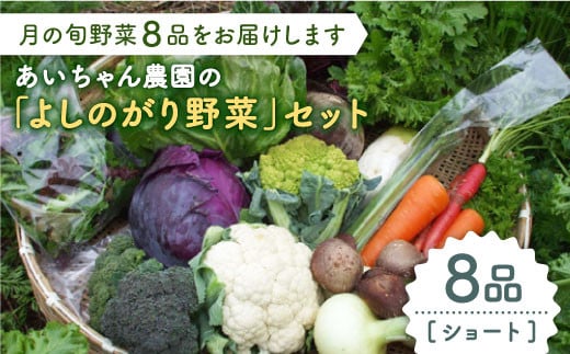 【8品】農薬に頼らない！カラダにやさしい「よしのがり野菜」セット（ショート）【吉野ヶ里あいちゃん農園】 [FAA001]