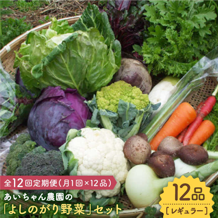 【12品 / 12回定期便】あいちゃん農園の「よしのがり野菜」セット（レギュラー） [FAA006]