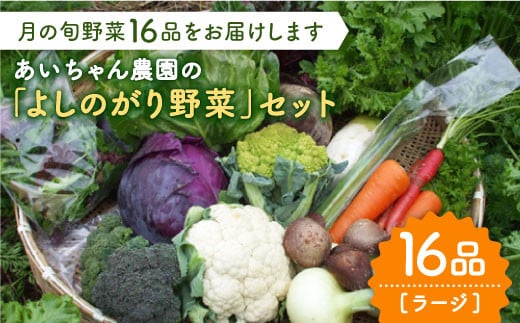 【16品】農薬に頼らない！カラダにやさしい「よしのがり野菜」セット（ラージ）吉野ヶ里町/吉野ヶ里あいちゃん農園 [FAA009]