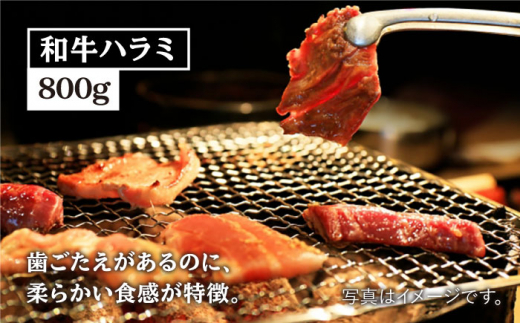 【味付】【大容量】お肉の味にとことんこだわった！焼き肉5種セット計2kg（和牛ハラミ800g / 豚ハラミ・丸腸・小腸・シマ腸 各300g）【三田川ホルモン専門店】 [FAC016]