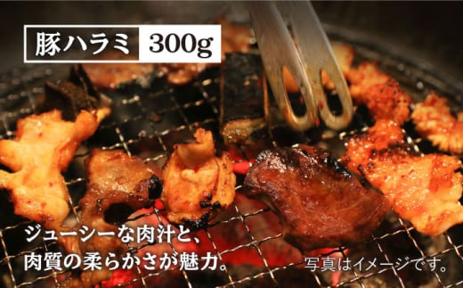 【味付】【大容量】お肉の味にとことんこだわった！焼き肉5種セット計2kg（和牛ハラミ800g / 豚ハラミ・丸腸・小腸・シマ腸 各300g）【三田川ホルモン専門店】 [FAC016]