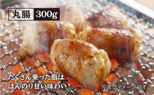 【味付】【大容量】お肉の味にとことんこだわった！焼き肉5種セット計2kg（和牛ハラミ800g / 豚ハラミ・丸腸・小腸・シマ腸 各300g）【三田川ホルモン専門店】 [FAC016]