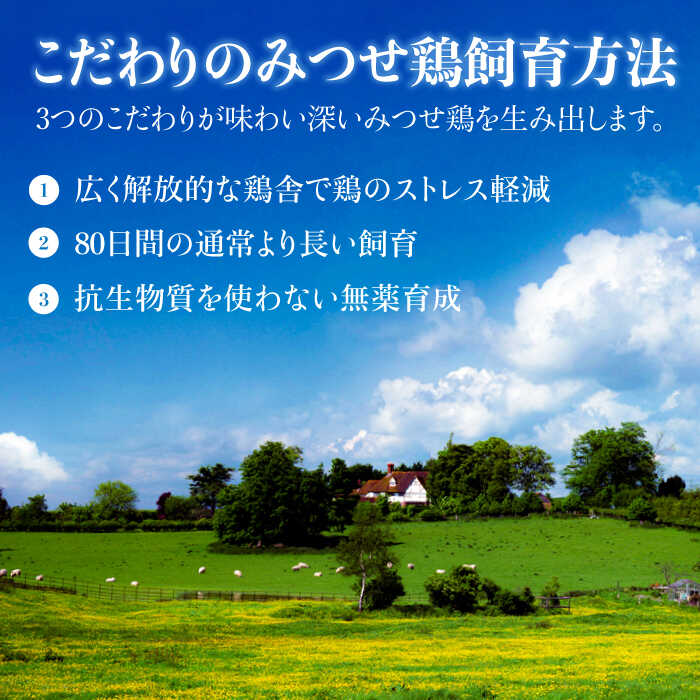 【贈答用】≪人気商品をセットで！≫みつせ鶏つくね6個・みつせ鶏ソーセージ6本ギフトセット 吉野ヶ里町/炭寅コーポレーション [FCI005]