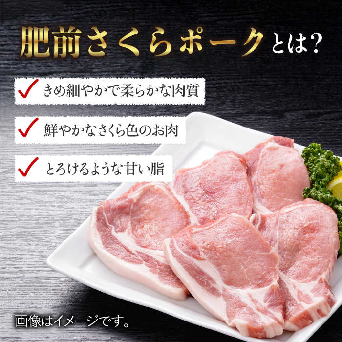 【佐賀のブランド豚・大容量】肥前さくらポーク とんかつ用ロース1,000g（100g×10枚）【佐賀県農業協同組合】 [FBE019]