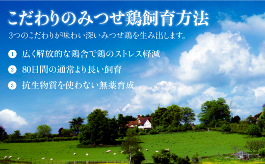 お店でダントツ人気のこだわりつくね！【鶏料理専門店「炭寅」で１番人気】みつせ鶏つくね20個セット 吉野ヶ里町/炭寅コーポレーション [FCI009]