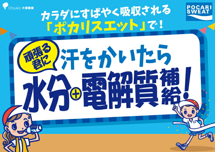 【熱中症対策】＜6回定期便＞500ml 1箱（24本）×6回 ポカリスエット【大塚製薬】 [FBD007]