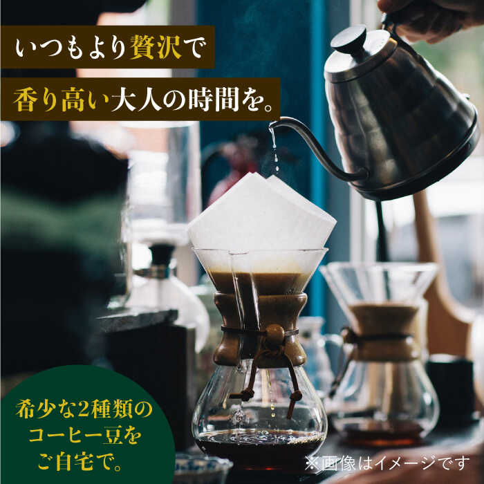 【3回定期便】ジャコウネココーヒー100g&ウイスキー樽熟成コーヒーセット100g≪豆タイプ≫【ラオジャパン合同会社】 [FBR034]