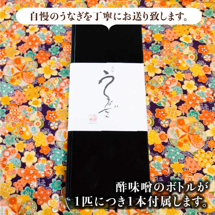 【3回定期便】板前こだわりの国産うなぎの白焼 6枚セット×3回【丸安】 [FAD018]