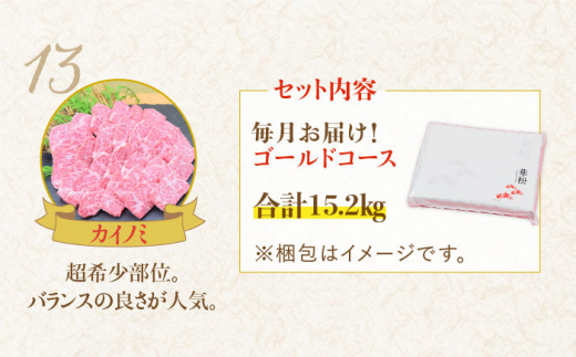 【最高級の佐賀牛贅沢コース！】 A4 A5 豪華佐賀牛12回定期便 ゴールドコース＜総量15.2kg！＞15,200g【ミートフーズ華松】 [FAY040]