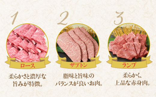 【最高級の佐賀牛贅沢コース！】 A4 A5 佐賀牛12回定期便＜総量7.8kg！＞シルバーコース 合計7,800g【ミートフーズ華松】 [FAY039]