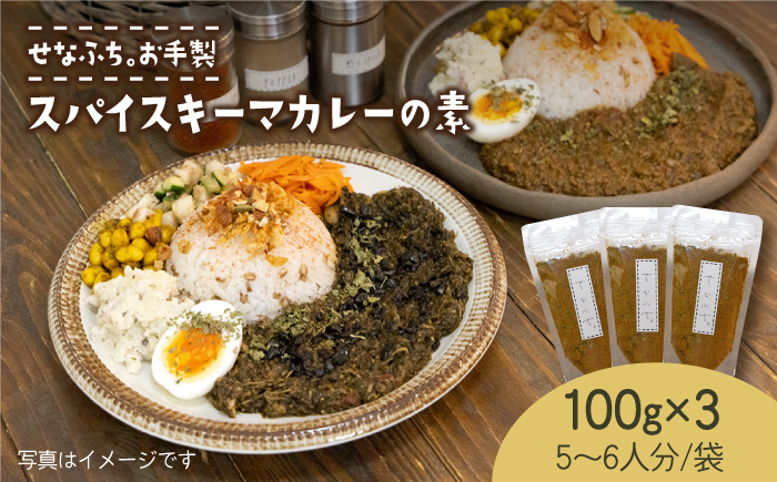 人気店カレー店のスパイス＞スパイスキーマカレーの素100g （5～6人分