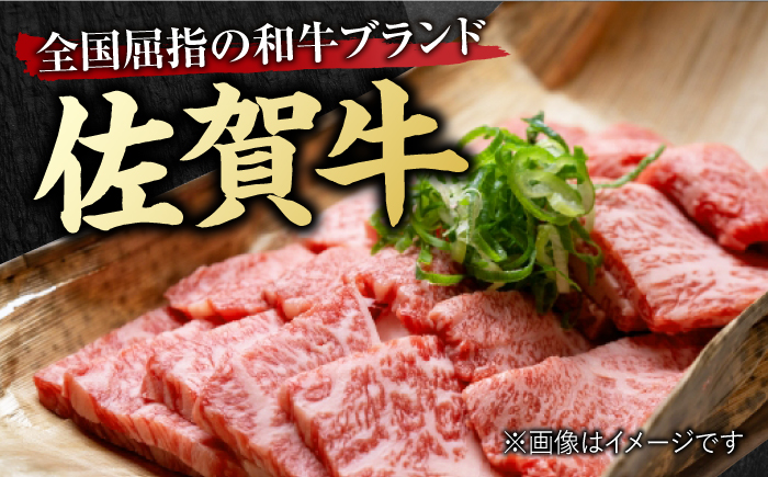 6回定期便】 艶さし！ 佐賀牛 焼肉用 計3kg （500g×6回） ※バラ・肩