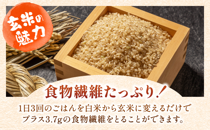 ふるさと納税　計15kg　【定期便】奈良のお米のお届け便　5kg×3ヵ月連続　吉野町　奈良県　玄米