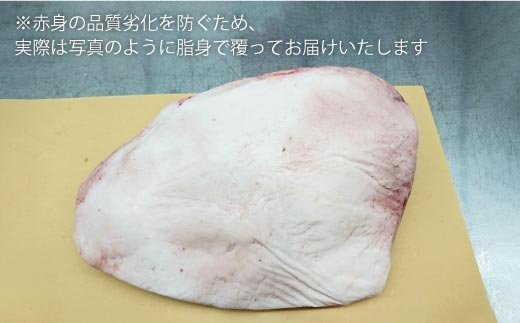 【焼き方はレアで】佐賀牛いちぼブロック 3.5kg [FBX028]