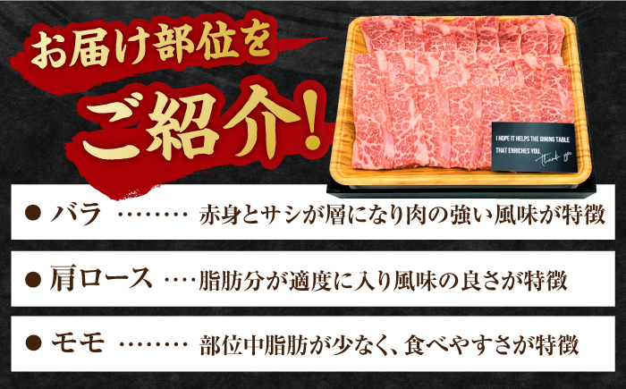 6回定期便】 艶さし！ 佐賀牛 焼肉用 計3kg （500g×6回） ※バラ・肩