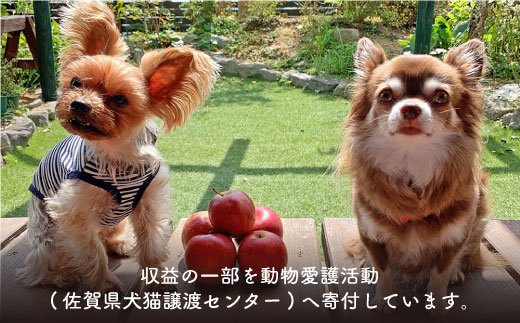 犬の無添加おやつ お砂糖不使用ドライりんご 洋梨 柿 みかん各2袋 計8袋 吉野ヶ里まちづくり会 Fcg021 ふるさとパレット 東急グループのふるさと納税