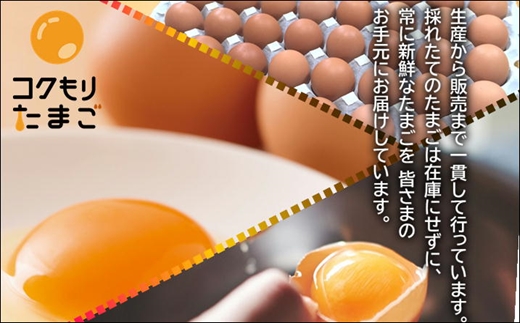【B0-019】養鶏場直送！松浦の赤たまご『コクもりたまご』小さめサイズ98個+破卵保障10個
