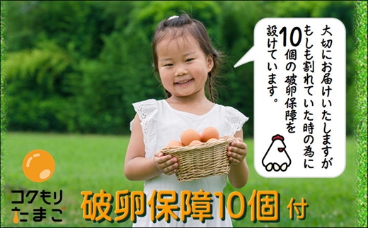 【B0-019】養鶏場直送！松浦の赤たまご『コクもりたまご』小さめサイズ98個+破卵保障10個